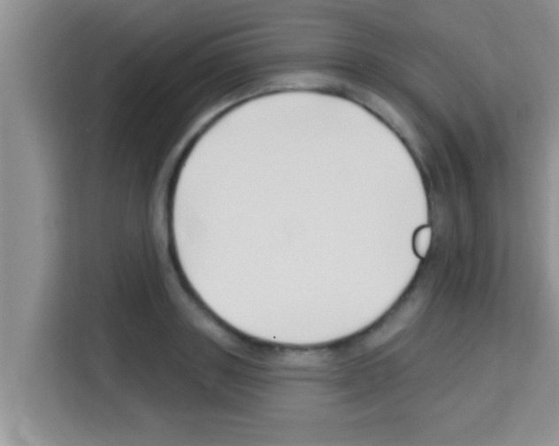 X0000113120843200910091135