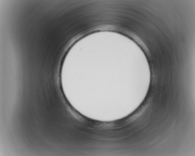 X0000113120845200910091135