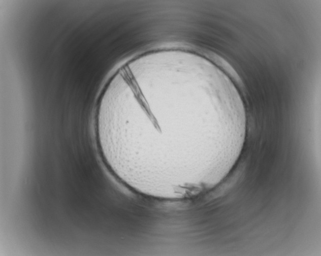 X0000113120847200910091135