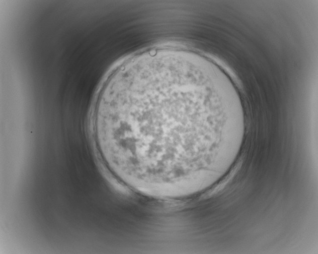 X0000113120848200910091135