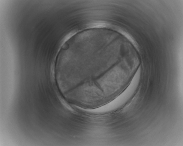 X0000113120850200910091135