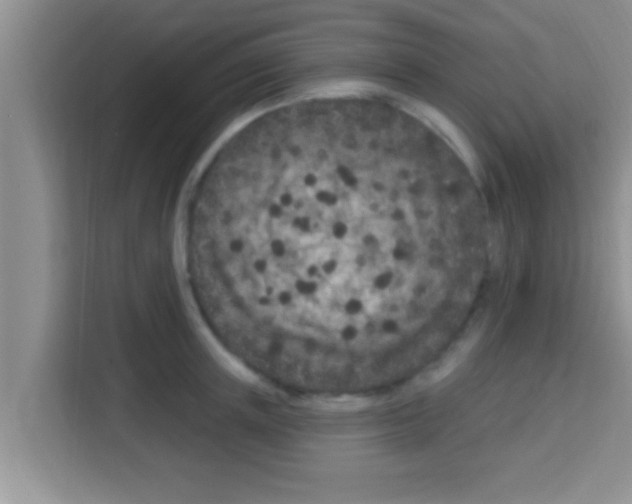 X0000113120851200910091135