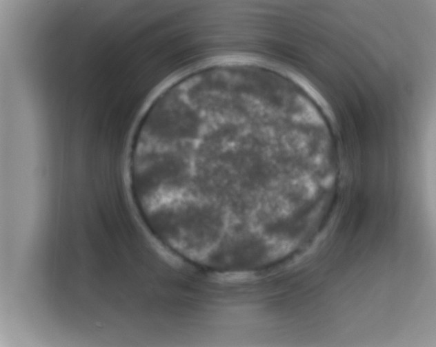 X0000113120853200910091135