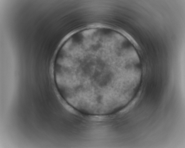 X0000113120854200910091135