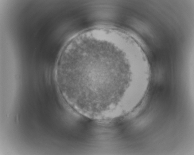 X0000113120856200910091135