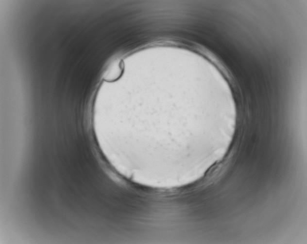 X0000113120858200910091135