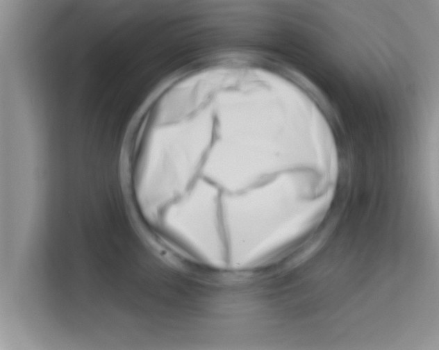 X0000113120859200910091135