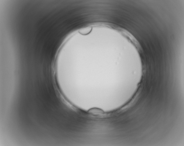 X0000113120860200910091135