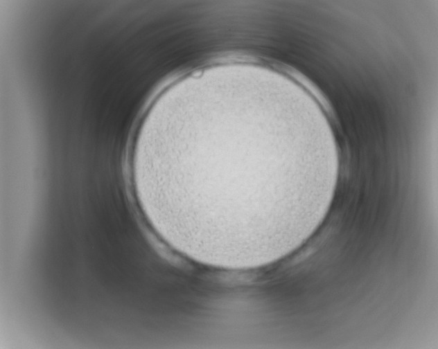 X0000113120861200910091135