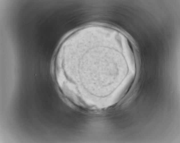 X0000113120862200910091135