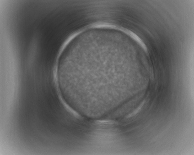 X0000113120863200910091135