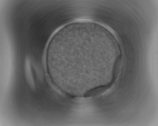 X0000113120864200910091135