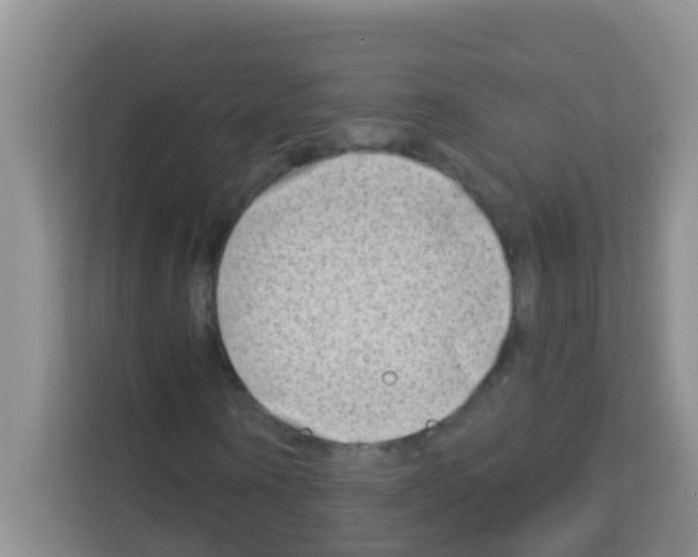 X0000113120866200910091135