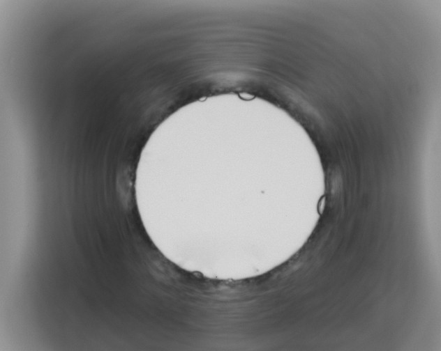 X0000113120868200910091135
