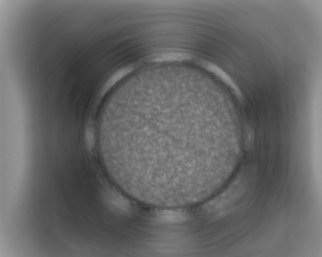 X0000113120874200910091135