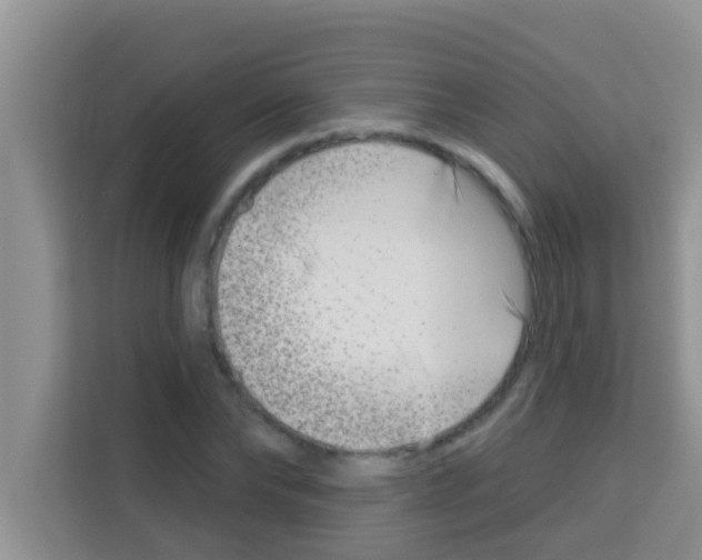 X0000113120878200910091135