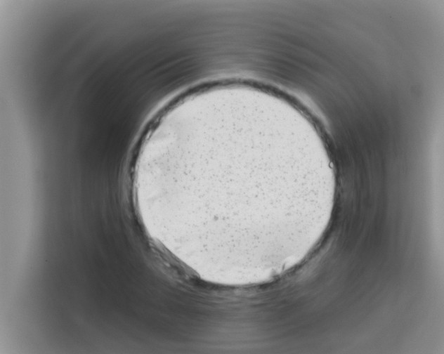 X0000113120879200910091135
