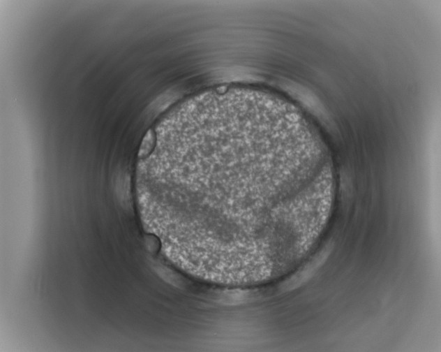 X0000113120881200910091135
