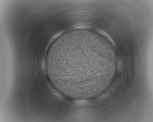 X0000113120882200910091135