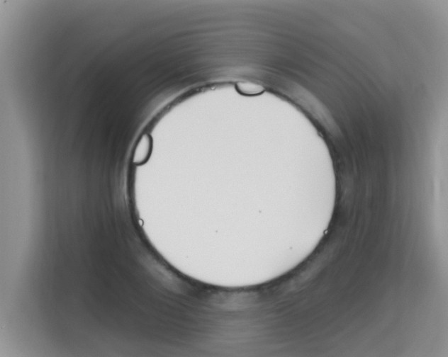 X0000113120884200910091135