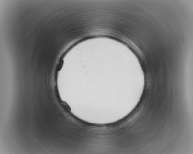 X0000113120885200910091135