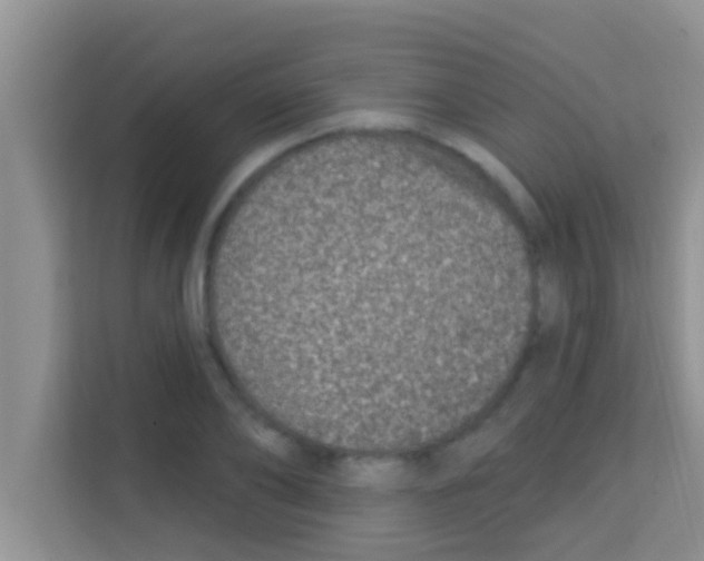 X0000113120886200910091135