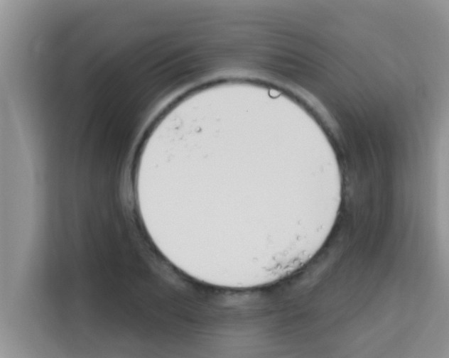 X0000113120887200910091135