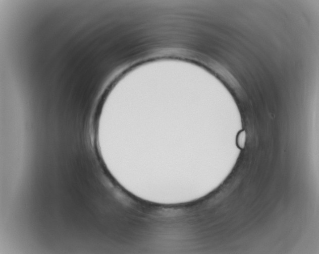X0000113120888200910091135