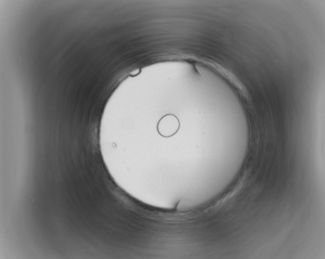 X0000113120889200910091135