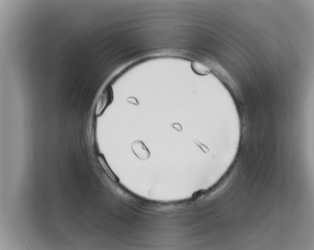 X0000113120892200910091134