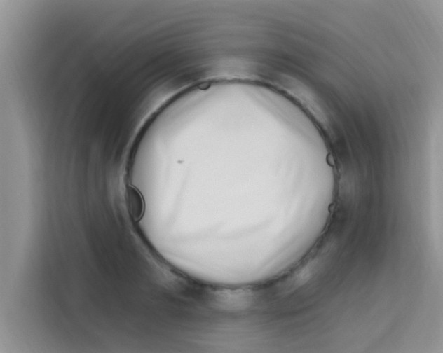 X0000113120893200910091134