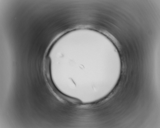 X0000113120894200910091134