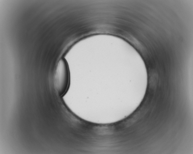 X0000113120896200910091134