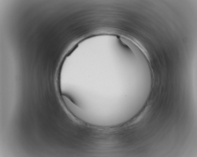 X0000113120901200910091134
