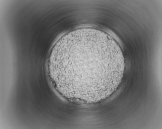 X0000113120906200910091134