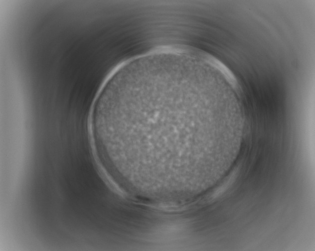 X0000113120907200910091134