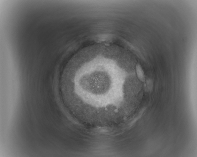 X0000113120913200910091134