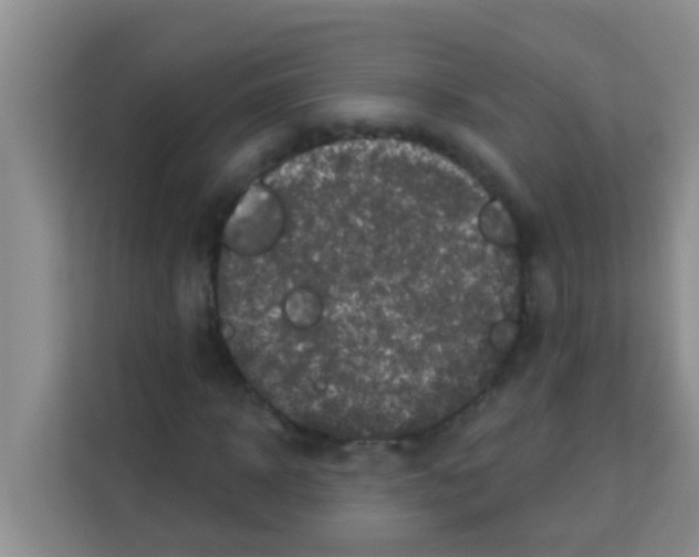 X0000113120918200910091134