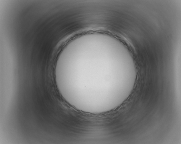 X0000113120920200910091134