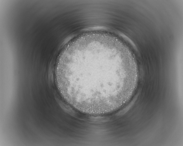 X0000113120921200910091134