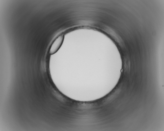 X0000113120924200910091134