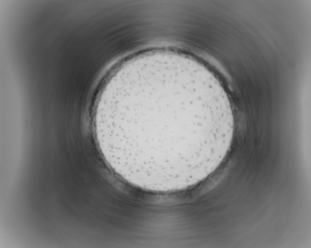 X0000113120927200910091134