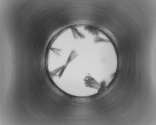 X0000113120928200910091134