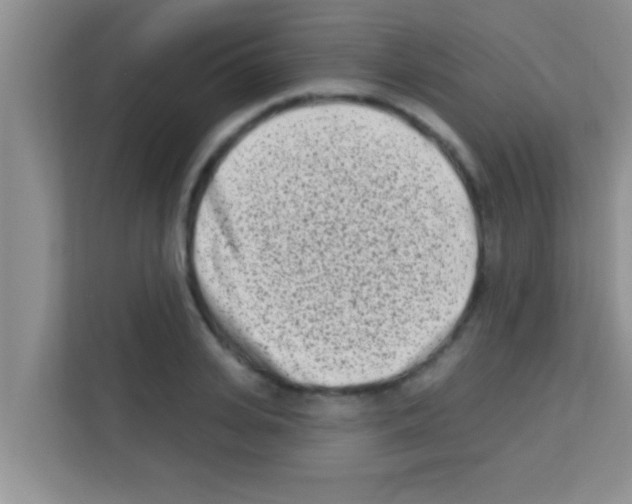 X0000113120935200910091134