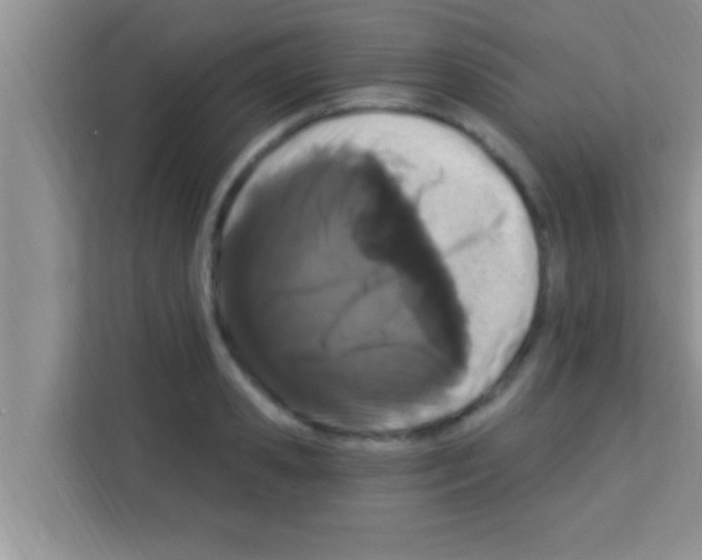 X0000113120941200910091134