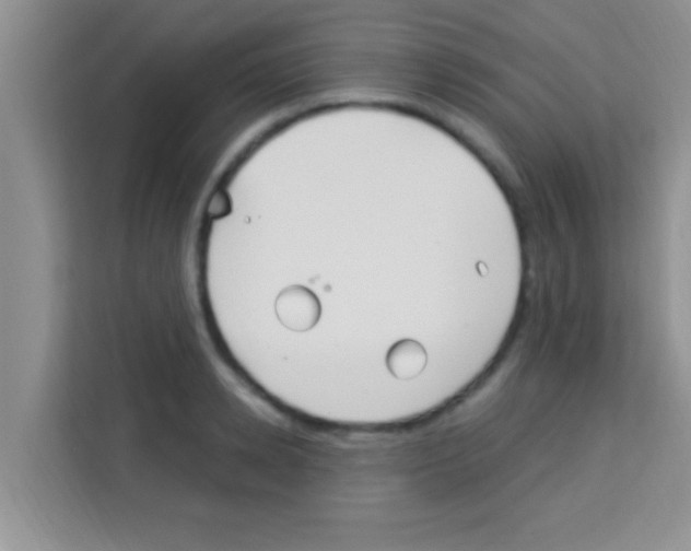 X0000113120942200910091134