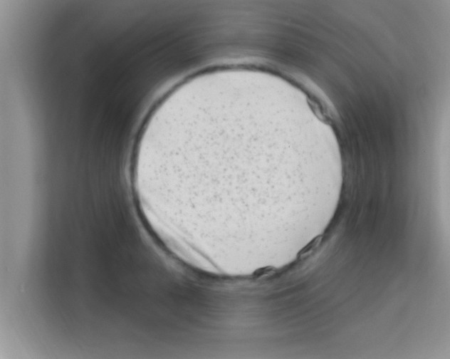 X0000113120943200910091134