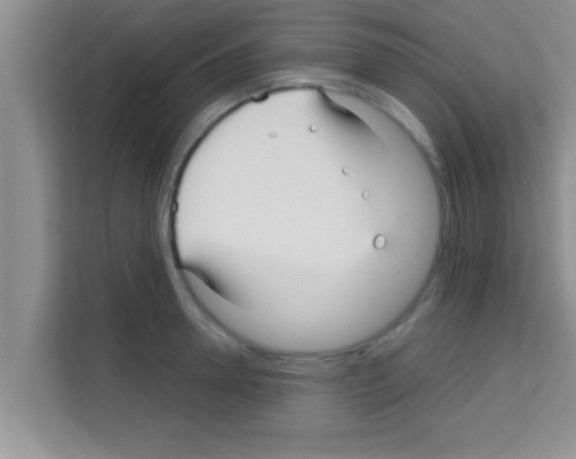 X0000113120946200910091134