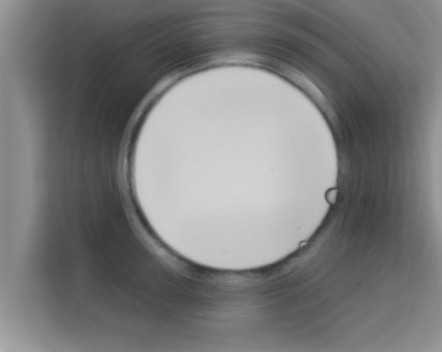 X0000113120947200910091134