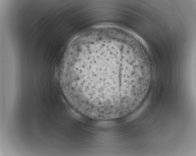 X0000113120953200910091134